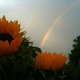 Image for article titled Shooting Challenge: Cellphone Gallery Part 7
